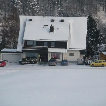 Apartmán Meran Inkl Meinecardplus Willingen (Upland)