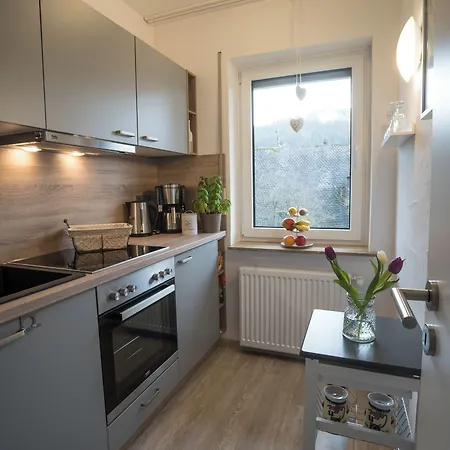 Appartement Meran Inkl Meinecardplus Willingen (Upland)