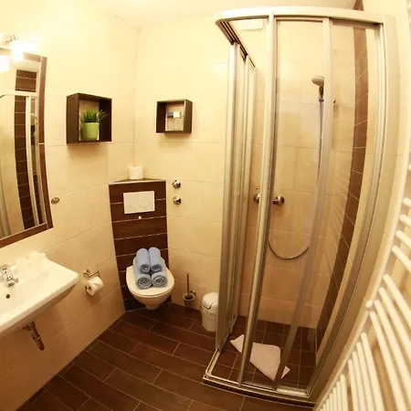 Meran Inkl Meinecardplus Apartmán Willingen (Upland)