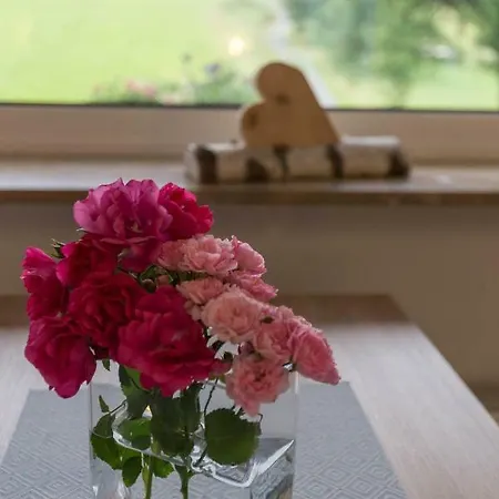 Meran Inkl Meinecardplus Willingen (Upland)