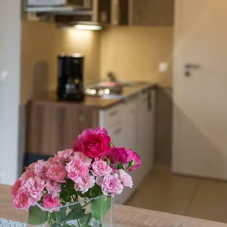 Meran Inkl Meinecardplus Appartement Willingen (Upland)