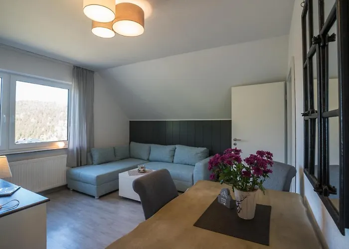 Apartment Meran Inkl Meinecardplus Willingen (Upland)