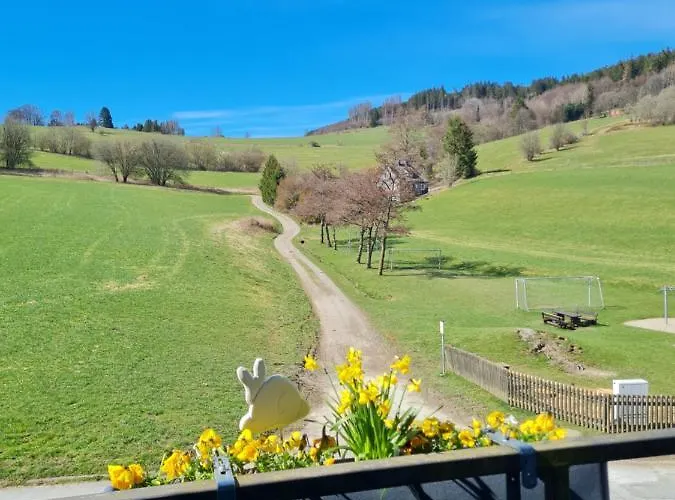 Meran Inkl Meinecardplus Willingen (Upland)