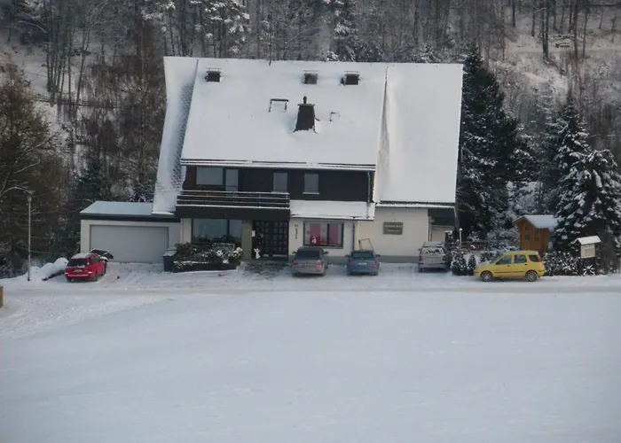 Apartment Meran Inkl Meinecardplus Willingen (Upland)