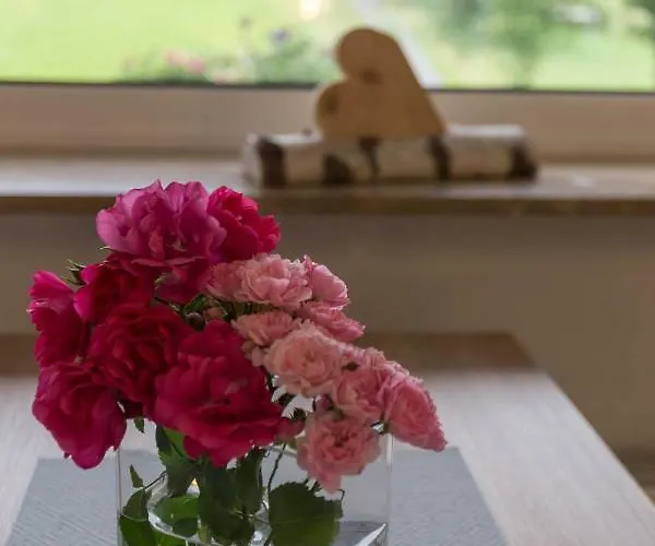 Meran Inkl Meinecardplus Willingen (Upland)